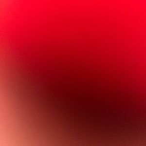 Meet your Posher, Daphnee